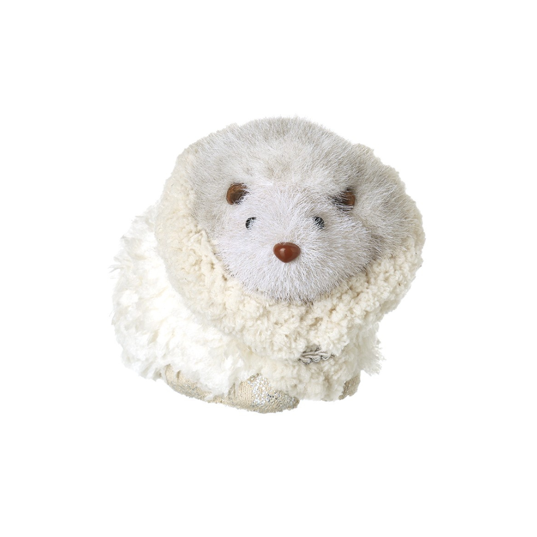 Heaven Sends Small Hedgehog In Fluffy Coat