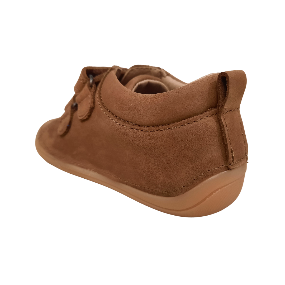 Petasil Ariel First Walker — Camel