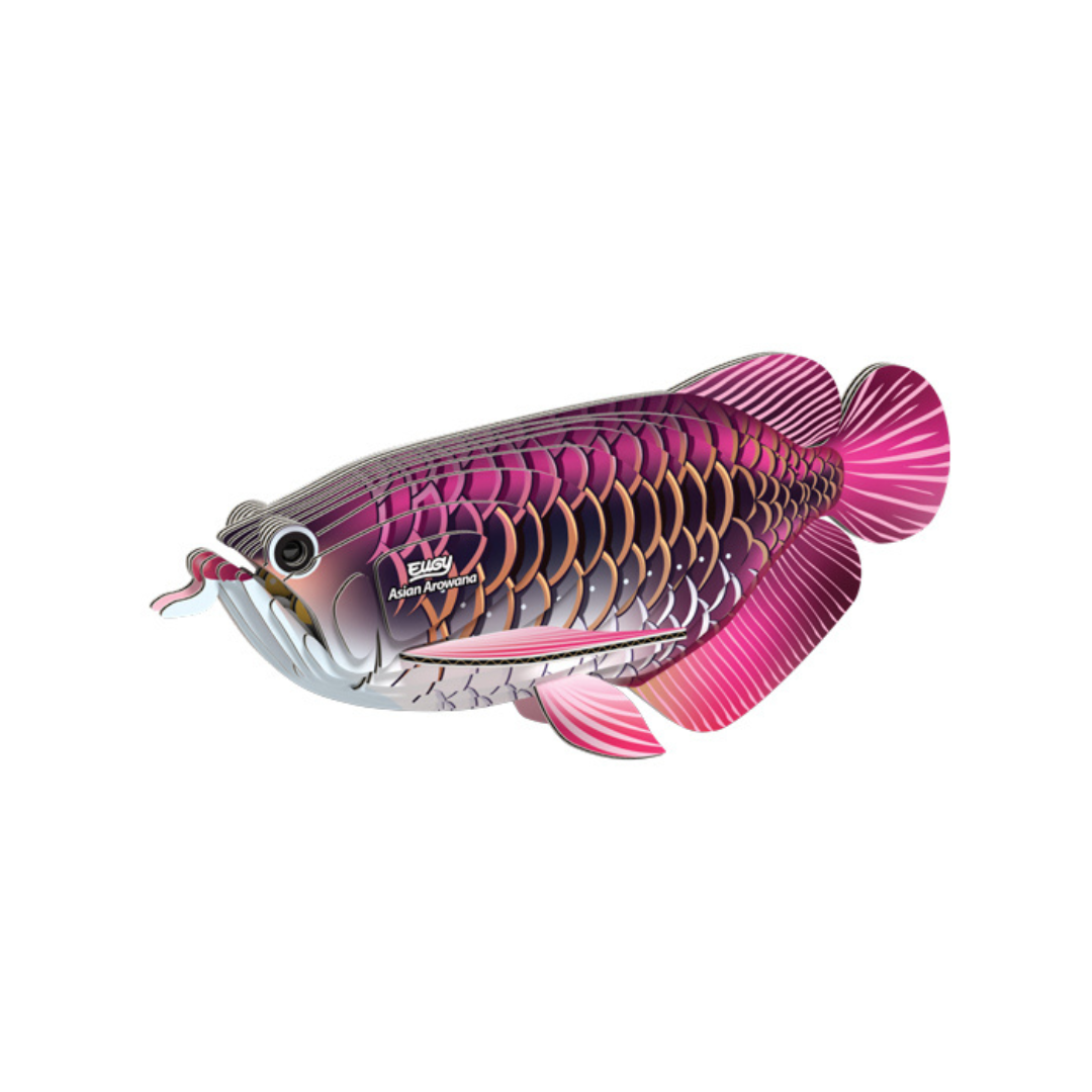 Brainstorm Eugy Asian Arowana