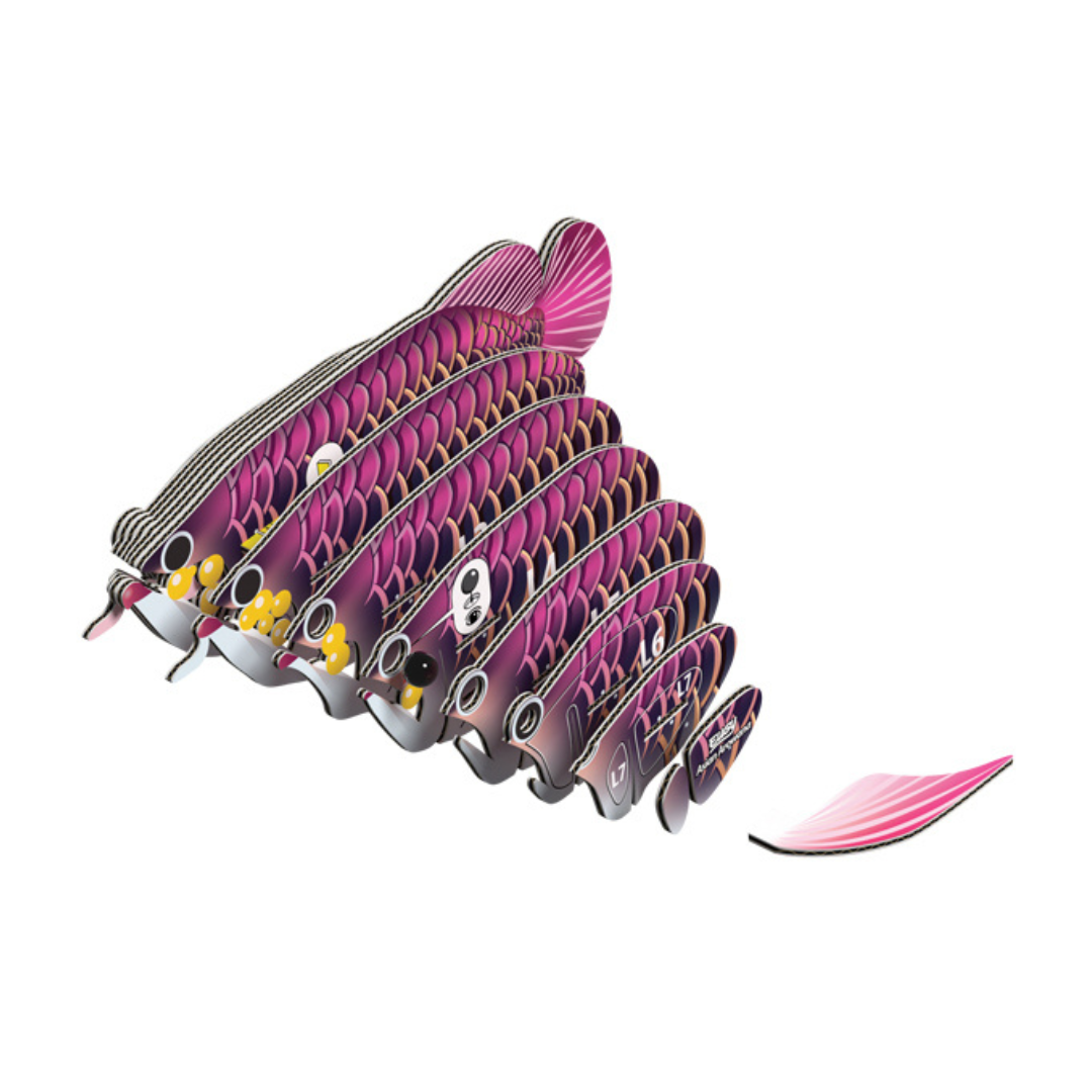 Brainstorm Eugy Asian Arowana