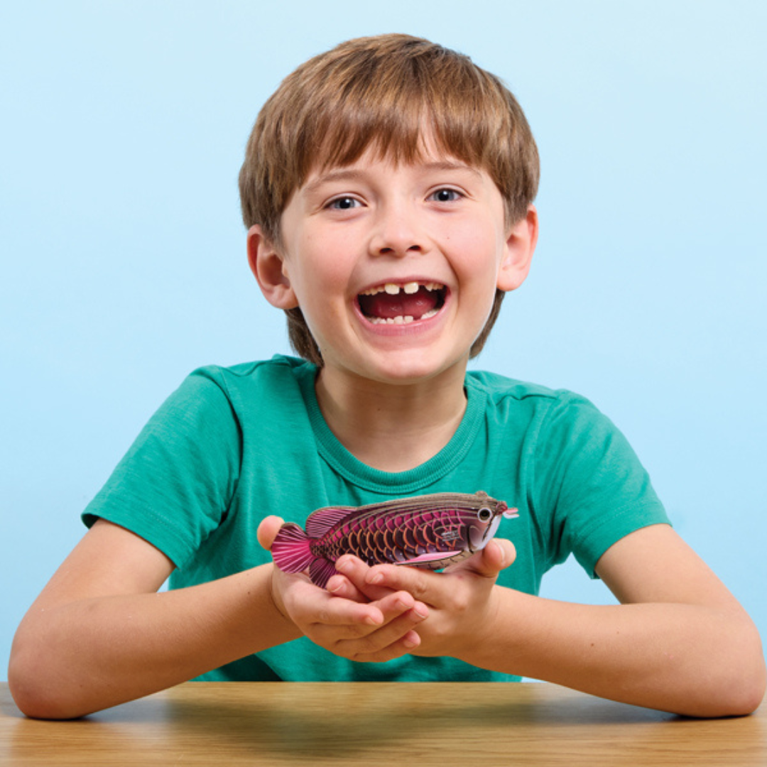 Brainstorm Eugy Asian Arowana