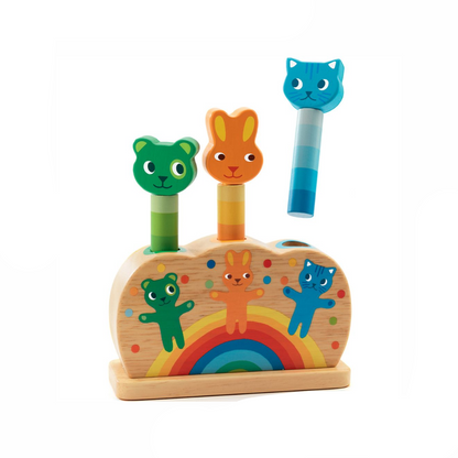 Djeco DJ06300 PIpop Pidoo