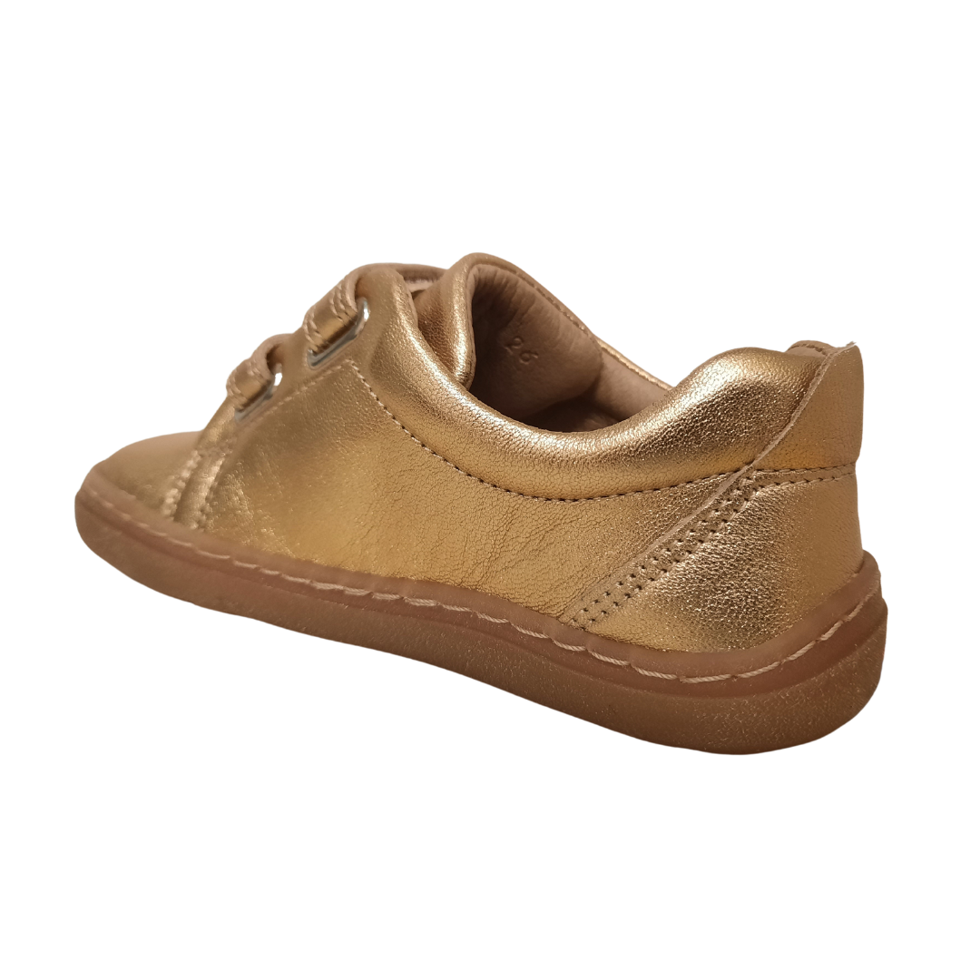 Petasil Pons Cosmos EU20-26