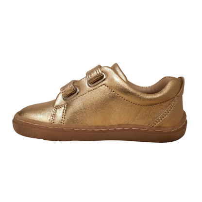 Petasil Pons Cosmos EU20-26