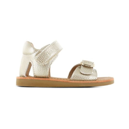 Shoesme Classic Sandal CS22S011-C — Gold