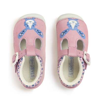 Start-Rite Little Paws Pre Walker Shoe UK2-5