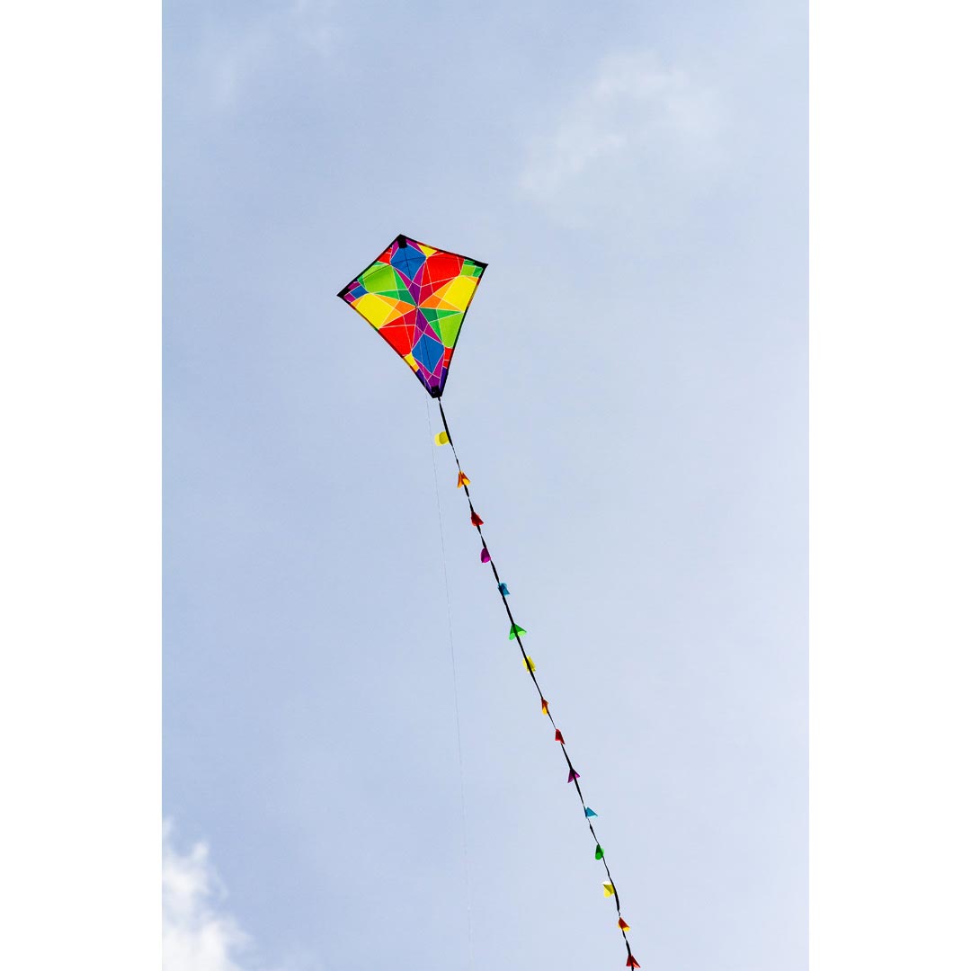 Wind Designs Eddy Galaxy 50cm Kite
